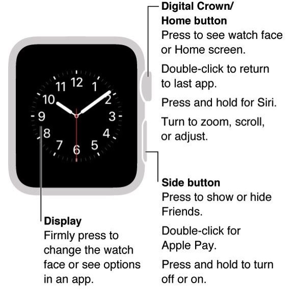 Apple Watch - Digital Crown and Side Button