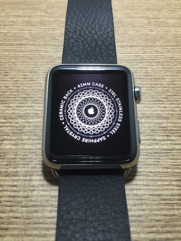 Apple Watch - first time pairing - pairing logo