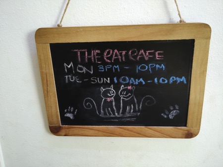 TheCatCafe - Signboard