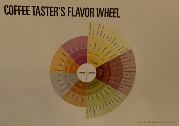 Starbucks Cheer Party - coffee taster's flavour wheel.jpg