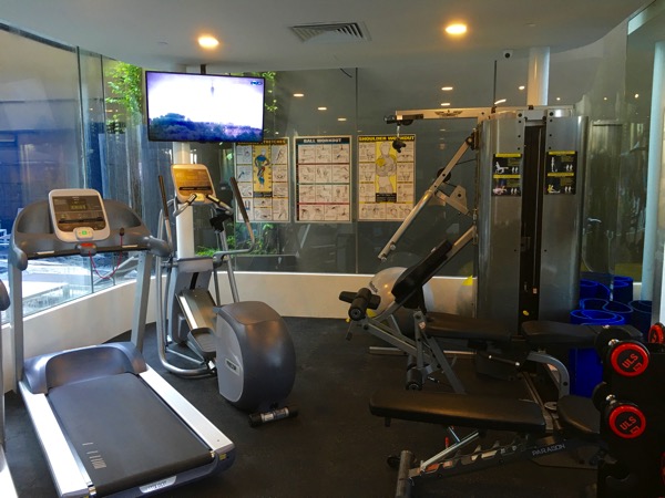 IBIS Styles Macpherson (Accor group hotel chain) - Fitness room (interior view)
