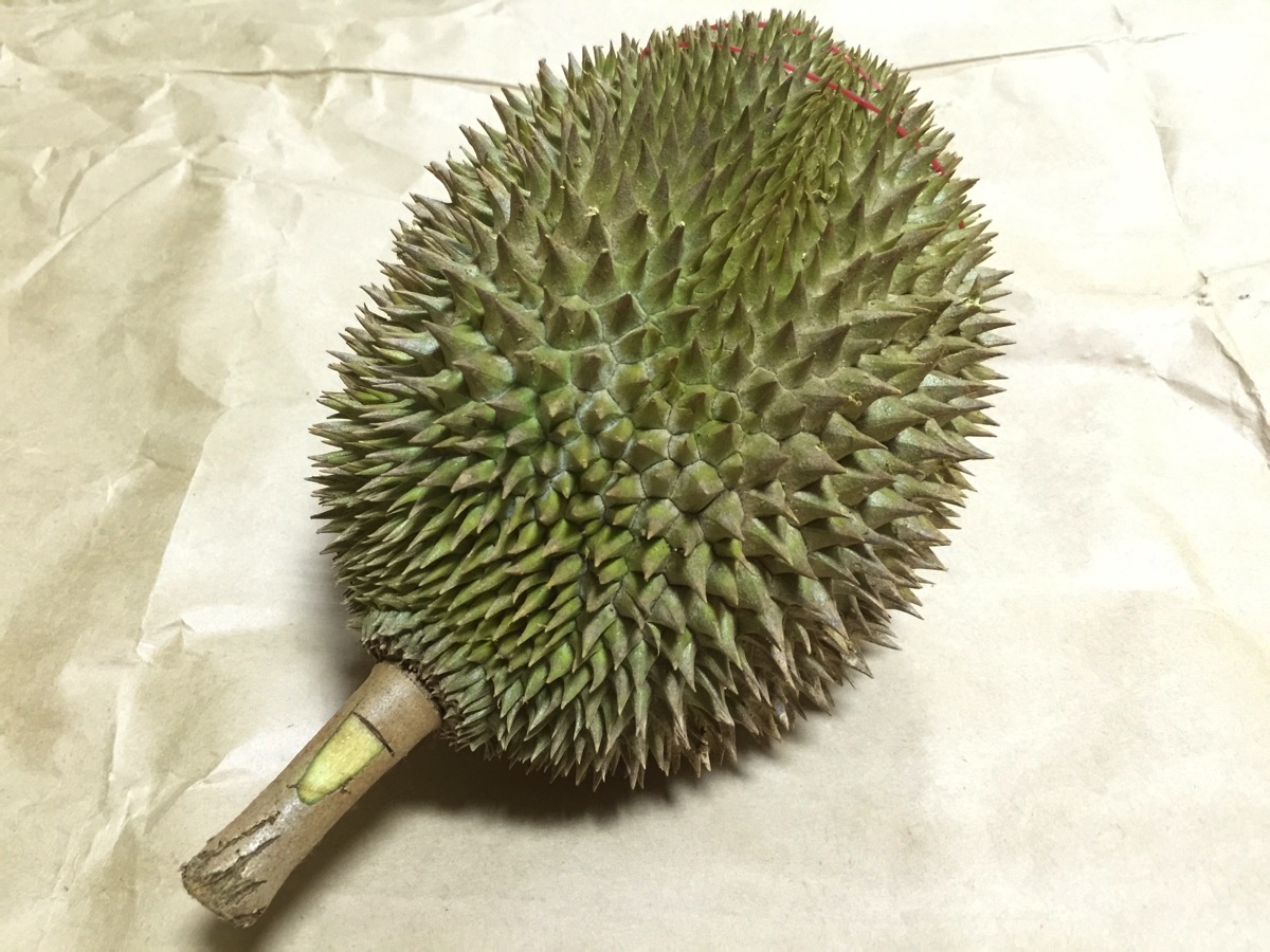 Golden Phoenix Durian - Outer fruit view - top