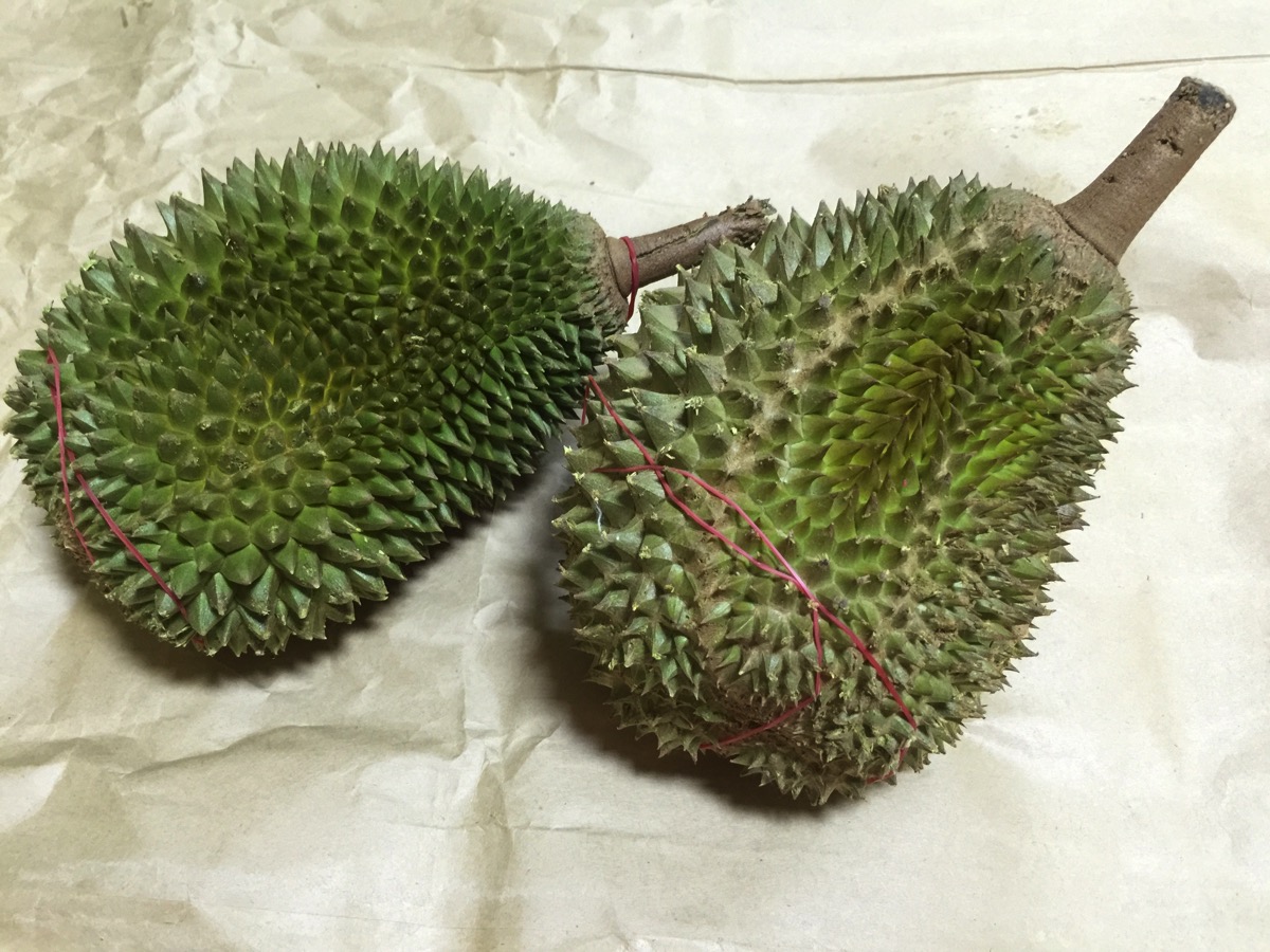 Maoshang Wang Durian - Outer fruit view - top