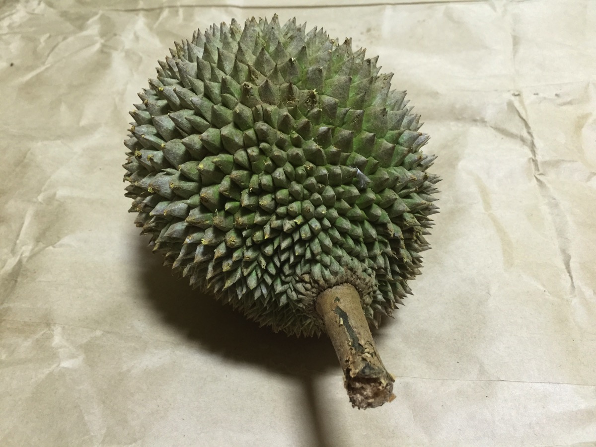 Small Seed Durian - Outer fruit view - top