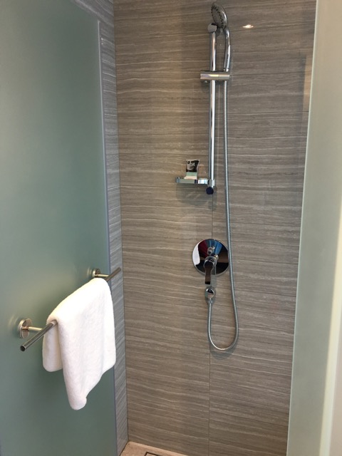 mercure-bugis-singapore-hotel-review-executive-loft-room-shower-area