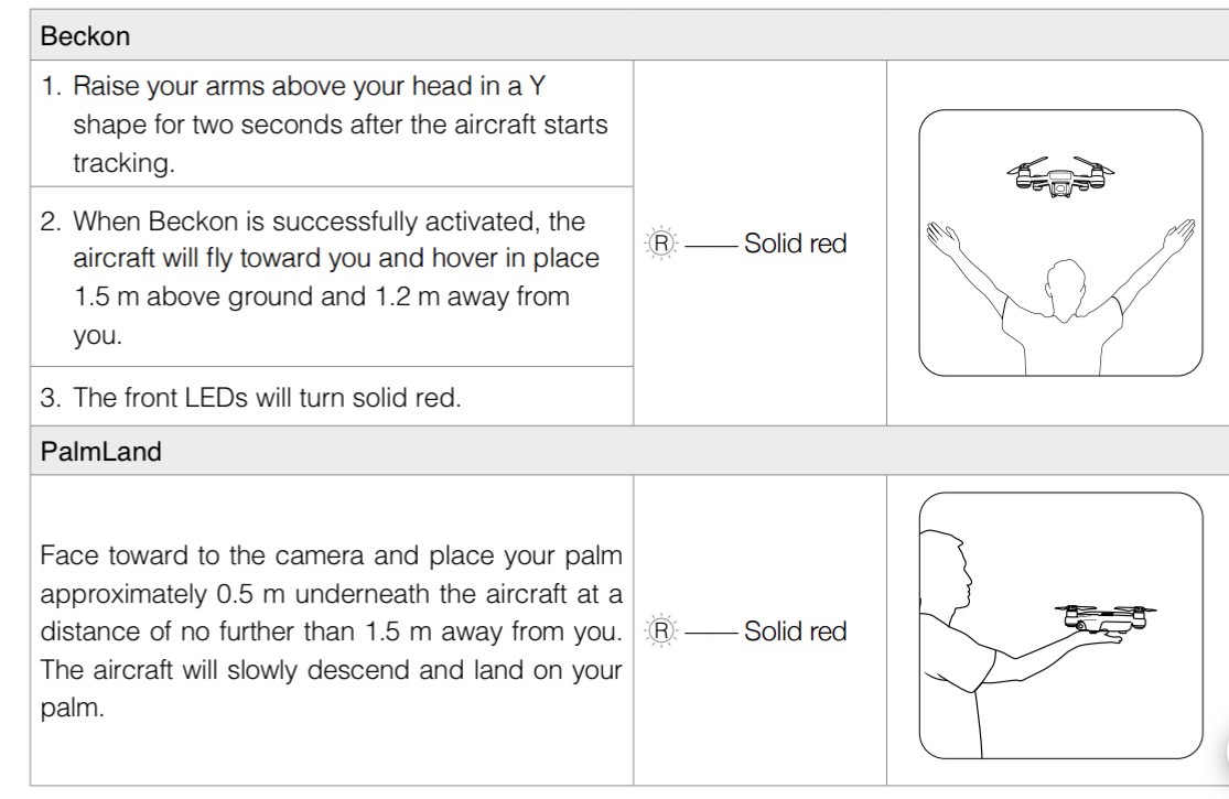 Dji spark hot sale hand gestures